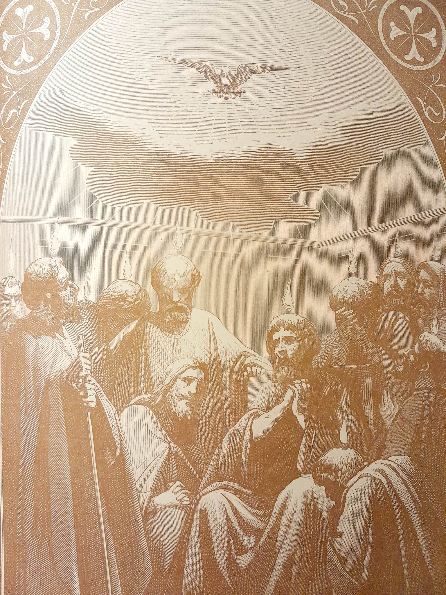 350247515_596563302261991_5100889932978115706_n